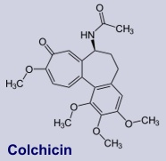 Colchicin
