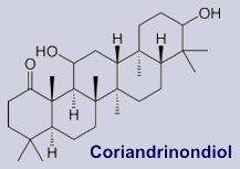 Coriandrinondiol - Inhaltsstoff des Korianders