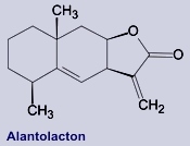 Alantolacton - Inhaltsstoff des Alants