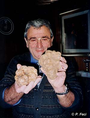 Piero der Trüffelkönig