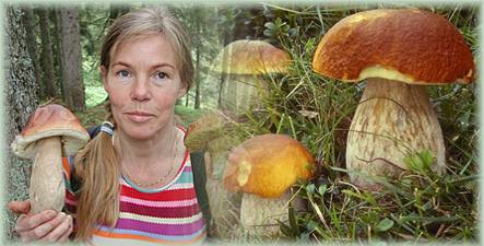 Steinpilze mit Anna